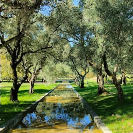 5min Walk To Subway & 10min Drive To Airport Lisbona